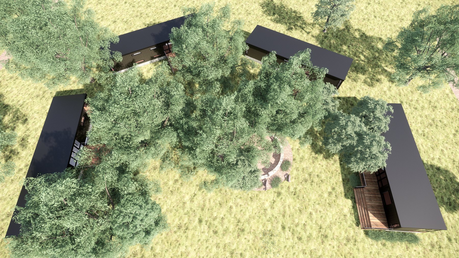 The buildings around the trees